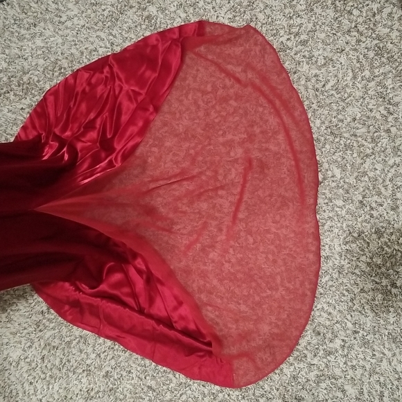 Beautiful Ruby Red Niki by Niki Livas Gown. - Picture 6 of 9